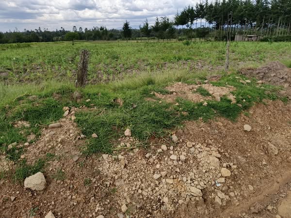 7 Acre Agricultural Land for Sale in Engineer